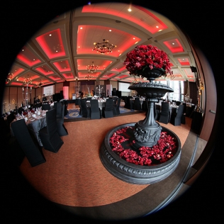 a fish-eye view of the photo display